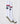 【SNOW】スノーソックス